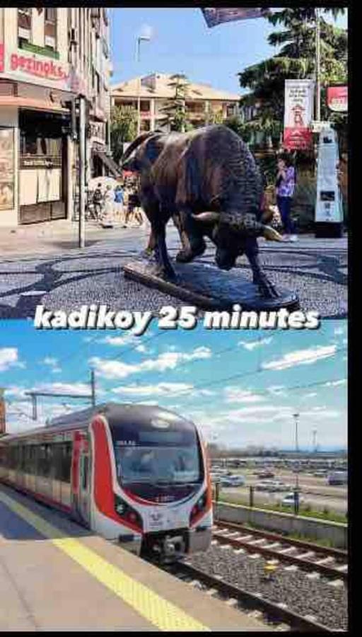 Kartal Lueks Daire 이스탄불 외부 사진